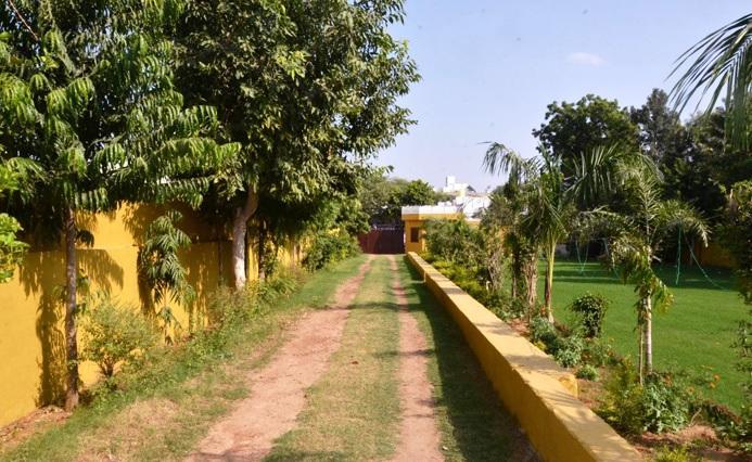 Tiger Regency Resort Sawai Madhopur Exterior foto